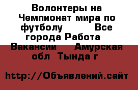 Волонтеры на Чемпионат мира по футболу 2018. - Все города Работа » Вакансии   . Амурская обл.,Тында г.